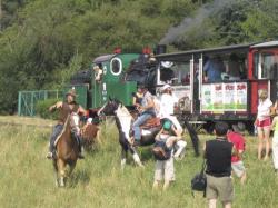 Rancho Orodek Rekreacji Konnej i Hipoterapii