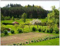 Gospodarstwo Agroturystyczne Nad Stawem