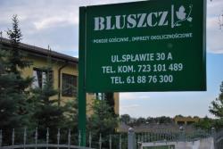 Bluszcz