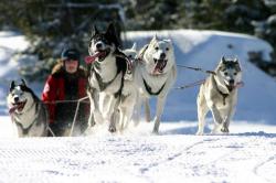 Huskyfarm