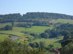 Zacisze Olszany