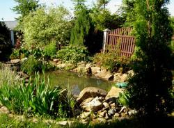 Zacisze Olszany