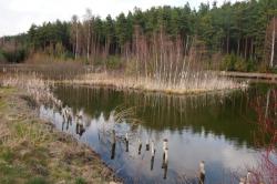 Domki letniskowe- Agroturystyka Nad Stawem w Wygoninie- Kaszuby