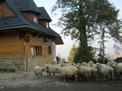 Sobolwka