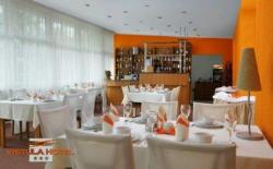 Hotel Vistula
