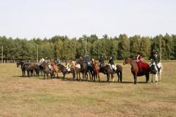 Agroturystyka - Stajnia Arcturus