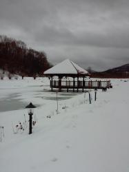 Pensjonat*** Caryska w Dwerniku - Bieszczady