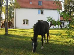 Gospodarstwo Agroturystyczne w Wierzycach