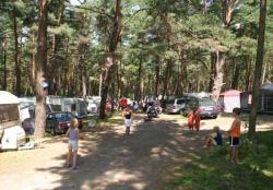 Camping nr 71