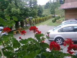 Pokoje Gocinne Zakopane