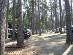 Pole Biwakowe Pod Sosnami