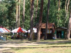 Pole Biwakowe Pod Sosnami