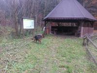 Basen w Karwodrzy
