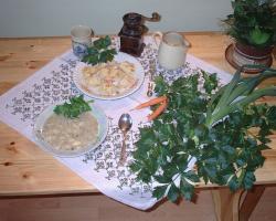 Gospodarstwo Agroturystyczne Agrodz