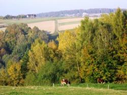 Gospodarstwo agroturystyczne Pawe Wjtowicz