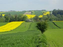 Agroturystyka Bogumia i Tadeusz Wjcik