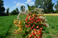 Gospodarstwo agroturystyczne Nad Nid