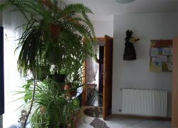 Pokoje Gocinne w Willi Alicja