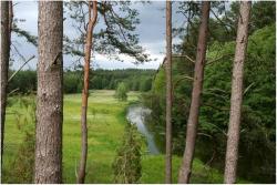 Domek holenderski w Nadarzycach