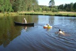 Ryczynwka