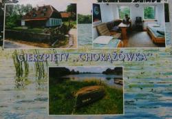Gociniec Chorwka