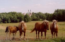 Gospodarstwo Agroturystyczne Maria i Ryszard Kozicz