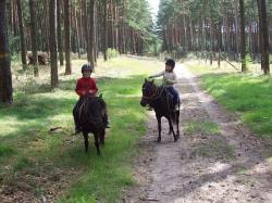 Gospodarstwo Agroturystyczne Bukowiniec