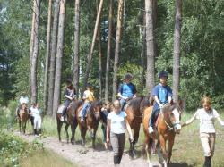 Gospodarstwo Agroturystyczne Bukowiniec