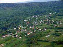 Zacisze - Honorata Michalska