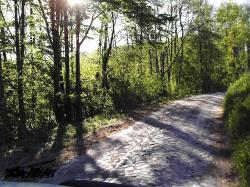 Pokoje do wynajcia Pod Kasztanem