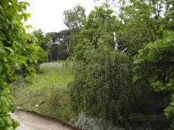 Pokoje do wynajcia Pod Kasztanem