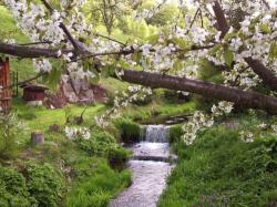 Dziupla - restauracja, noclegi