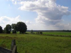 Stajnia Rusionowo