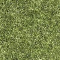 Mieszkanie dla letników