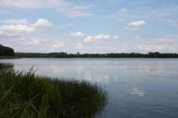 Kwatera Motylek