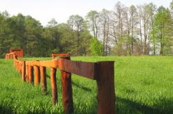 Pole namiotowe Mazury