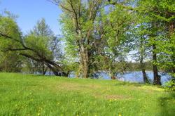 Pole namiotowe Mazury