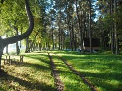 Pole namiotowe przysta Bila