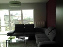 Apartament przy Zeta Park