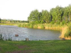 Domki Letniskowe nad stawem