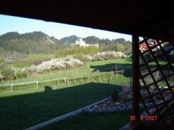 Domki Letniskowe, wynajem pokoi