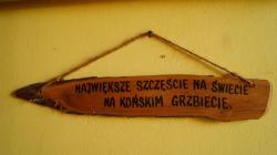Agroturystyka Jedziecka Krobia