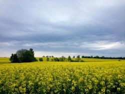 Poza Miasto - Agroturystyka w Borach Tucholskich