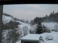 Domek Caoroczny w grach Nowy Scz- Pszczka