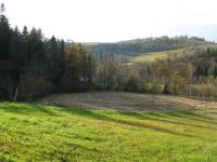 Domek Caoroczny w grach Nowy Scz- Pszczka