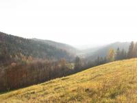 Domek Caoroczny w grach Nowy Scz- Pszczka