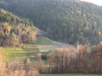 Domek Caoroczny w grach Nowy Scz- Pszczka