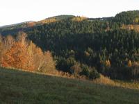 Domek Caoroczny w grach Nowy Scz- Pszczka