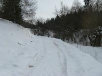 Domek Caoroczny w grach Nowy Scz- Pszczka