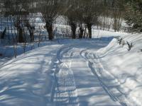 Domek Caoroczny w grach Nowy Scz- Pszczka